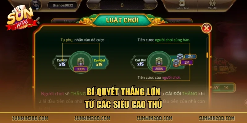 Bí quyết thắng lớn từ các siêu cao thủ