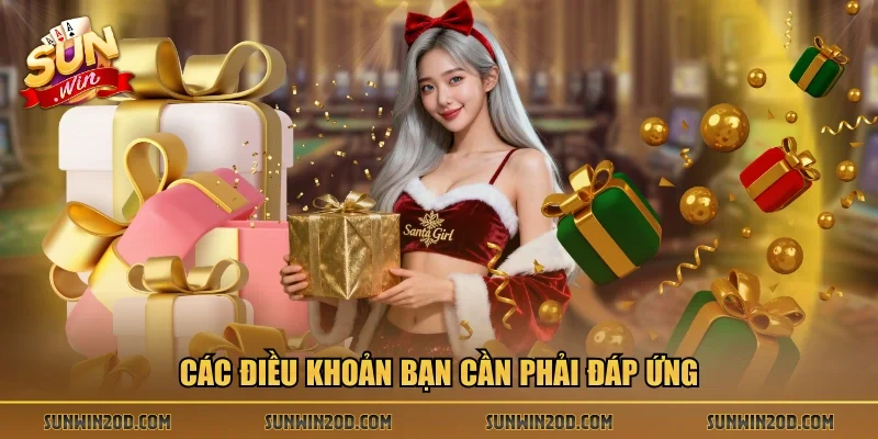 Các điều khoản bạn cần phải đáp ứng