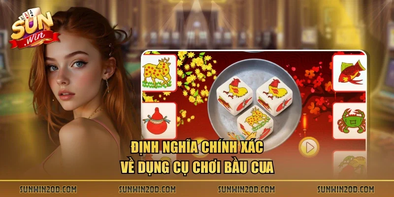 Định nghĩa chính xác về dụng cụ chơi bầu cua 