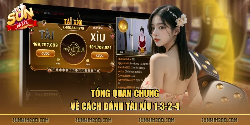 Tổng quan chung về cách đánh tài xỉu 1-3-2-4